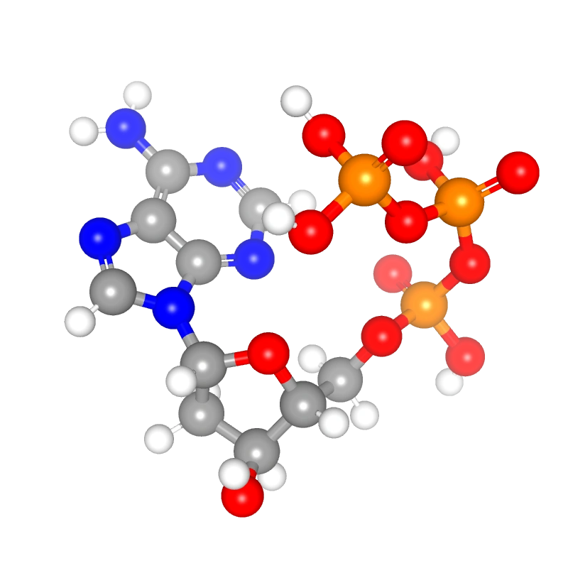 Molecules in Chromatography