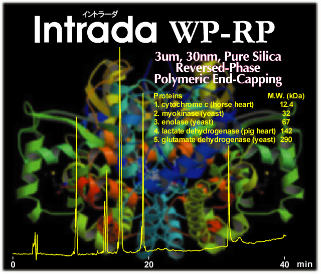 IMTAKT Bio-polymers RP separation Column Intrada WP-RP