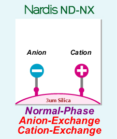IMTAKT HPLC Column Nardis ND-NX