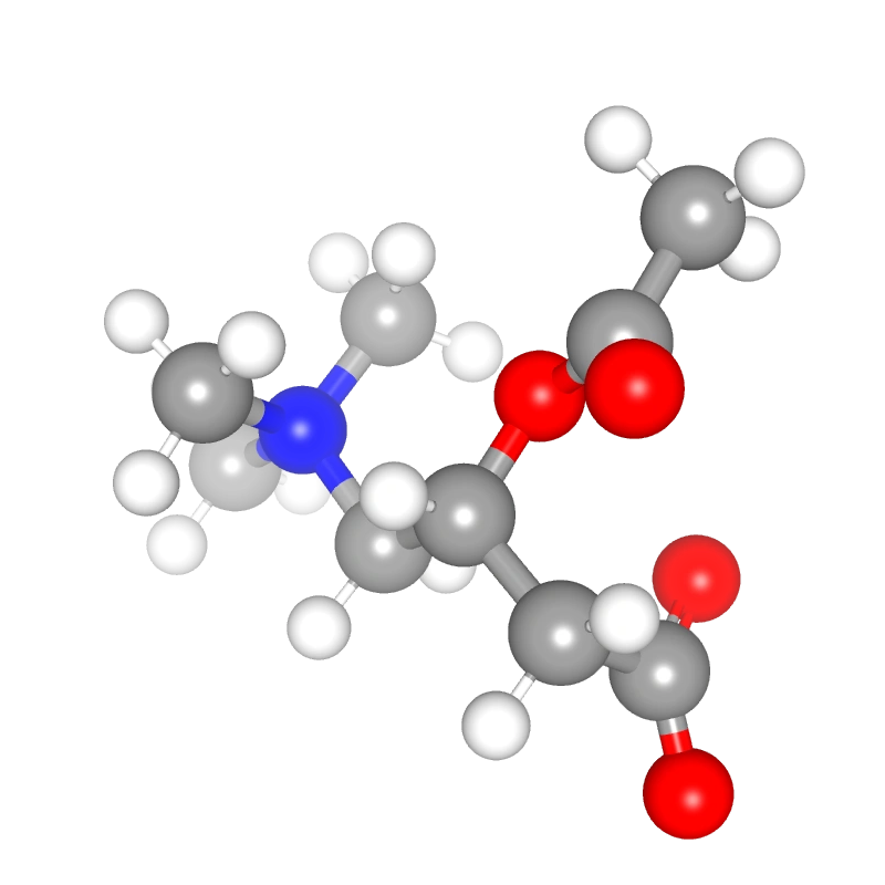Molecules in Chromatography