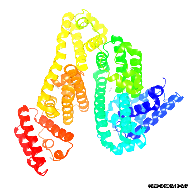 Molecules in Chromatography