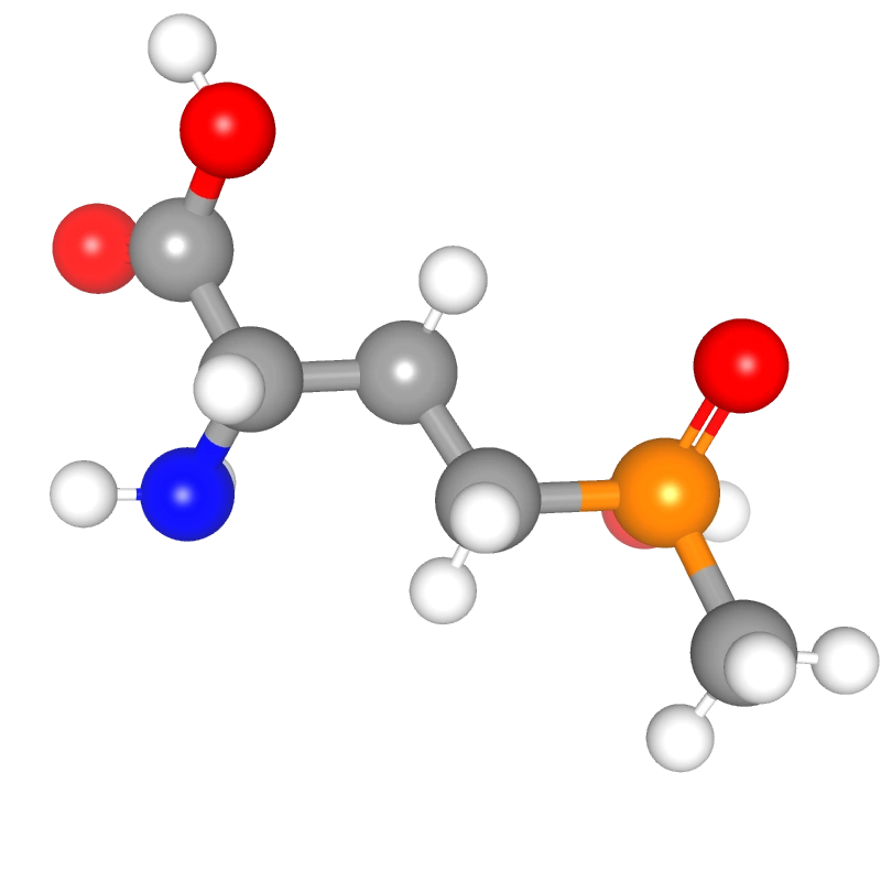 Molecules in Chromatography
