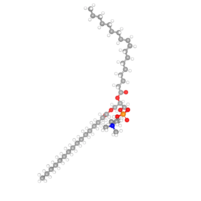 Molecules in Chromatography