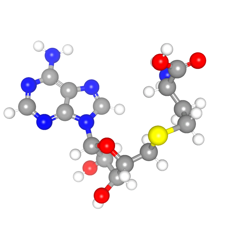 Molecules in Chromatography