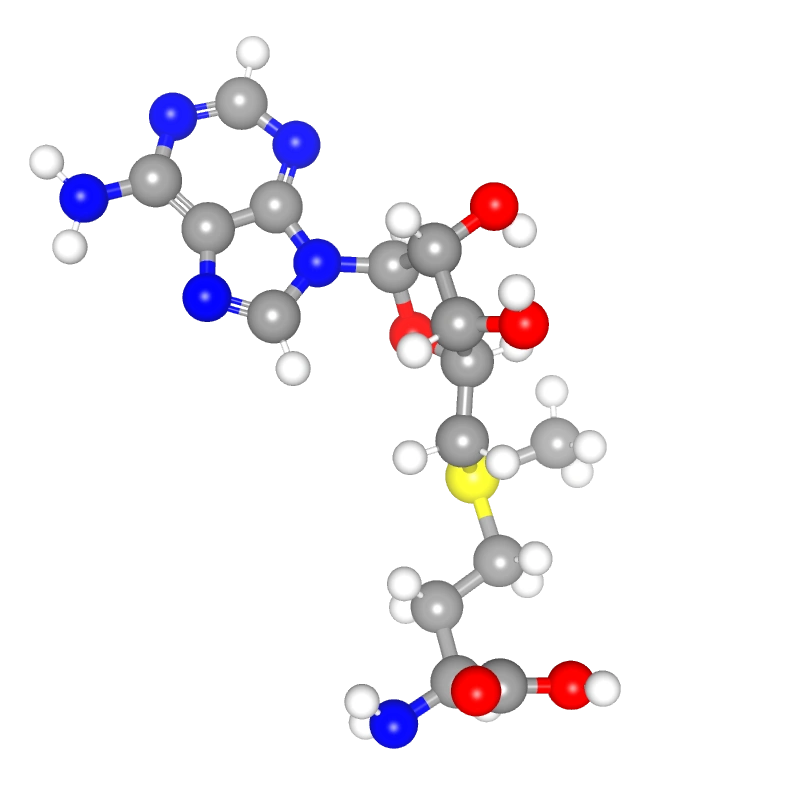 Molecules in Chromatography
