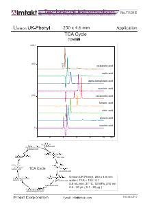 TCA Cycle analysis conditions and chromatogram